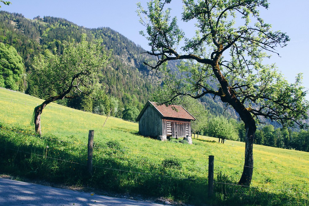 bayrischzell-tannerhof-nadin-brendel